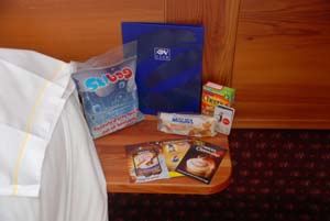 ski bag[1] copia.jpg